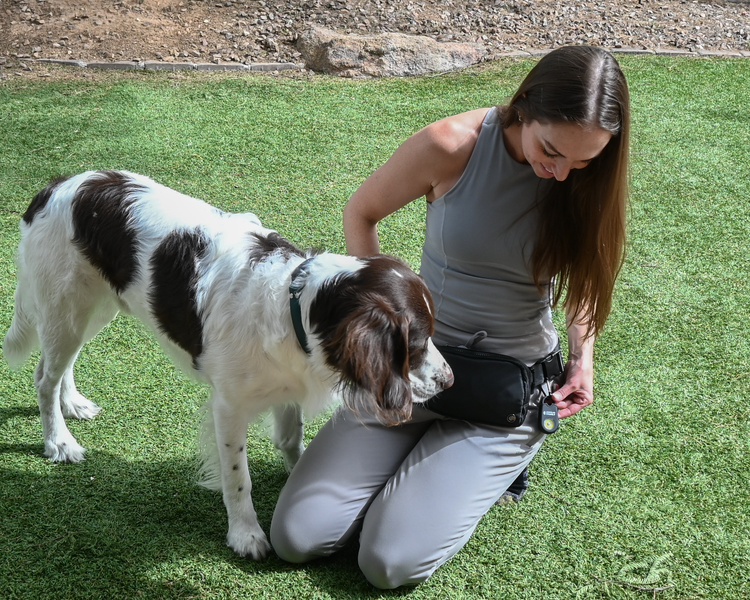 Woman with a dog, wearing the personal alarm fanny pack on the grass