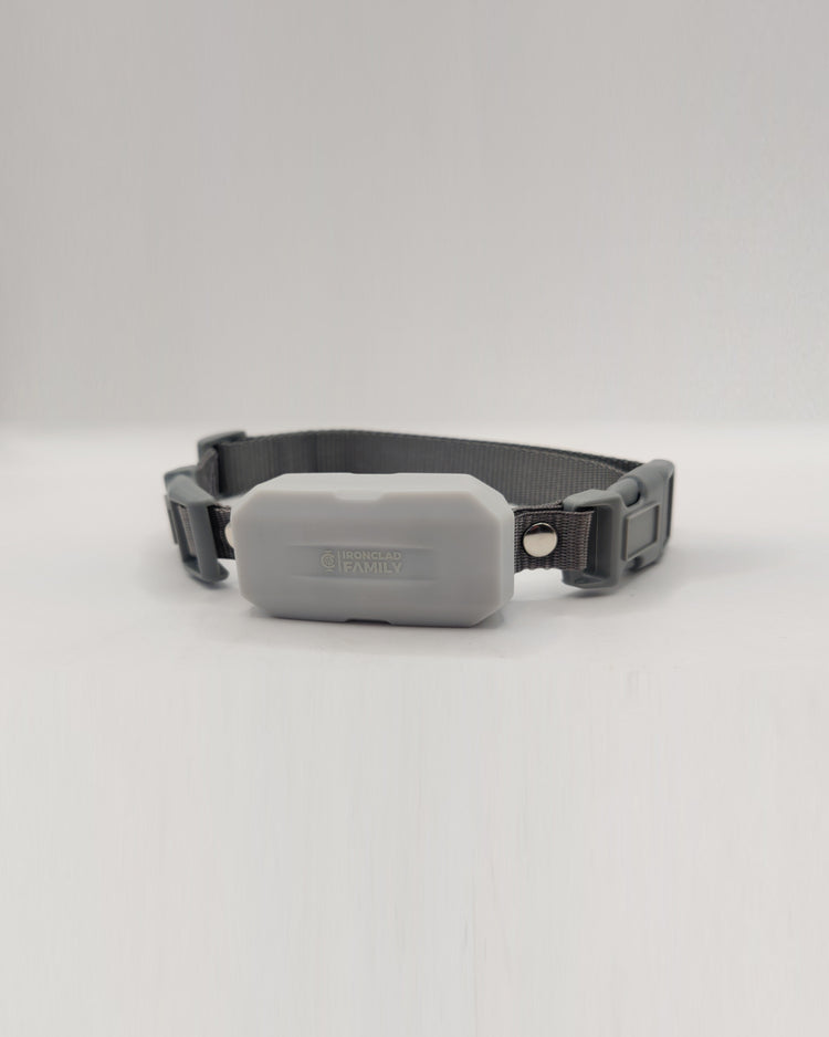 Grey dog collar featuring a compact tracking device