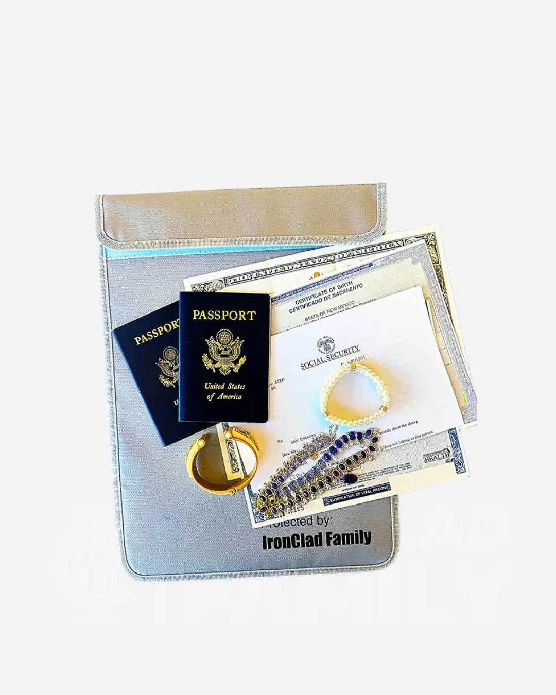 Passport and other documents stored in the Fireproof Water-Resistant Document Bag
