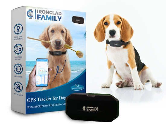 Pets GPS Tracker for Dogs with App & Sim Card Included - First Month Pre-Activated